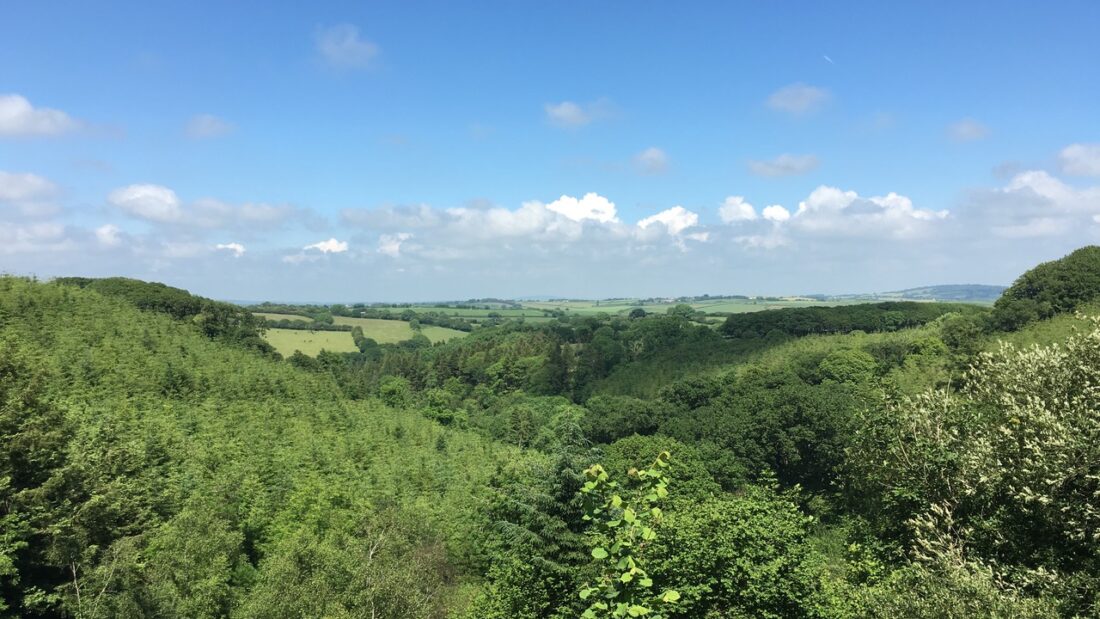 Forest Eco Homes, Cornwall